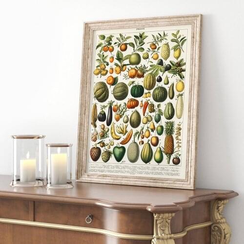 Vintage Poster Fruits Chart with vegetables Botanical Wall Art Canvas Painting Print Picture Vintage kitchen Rome Decoration