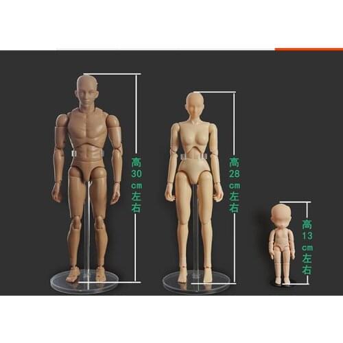 Male/female/child Animation art drawing cartoon sketch drawing human model joints dolls body figma shf model