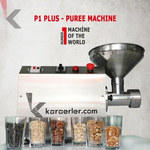Puree Machine For Raisin P1-PLUS