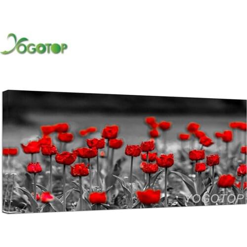 Diamond painting Red Poppy Abstract Flowers Wall Art Painting Canvas Black and White Red Poppy Flowers Scenery Landscape YY4536
