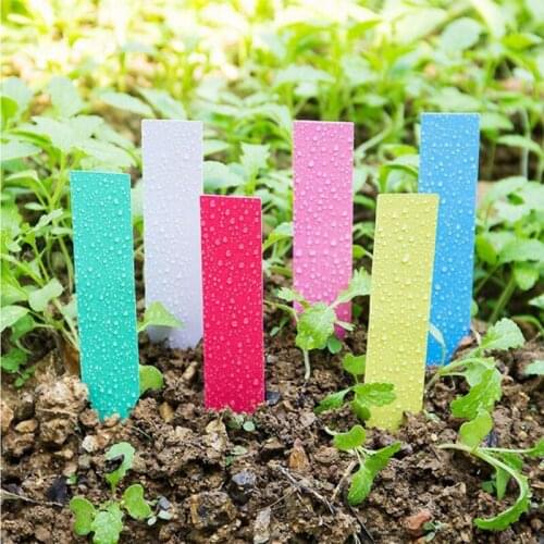 Plastic Plant Seed Labels Pot succulent Marker Nursery Garden Stake Tags Seed Mark DIY gardening Supplies 100 Pcs/Set