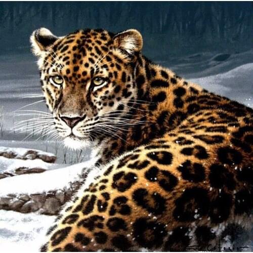 Full Diamond 5D DIY Diamond Painting "leopard" Embroidery Square/round Cross Stitch Rhinestone Mosaic Painting Decor