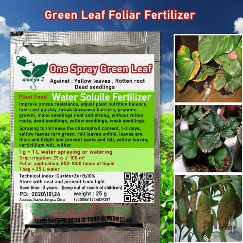 25 g Green Leaf Foliar Plant Food Trace element water-soluble Fertilizer Nutritional Supplements Treatment Unhealthy Leaves