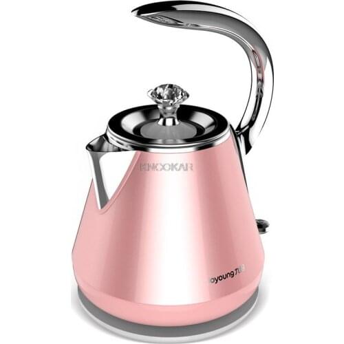 Electric kettle domestic starmoon kettle 304 stainless steel kettle domestic appliances boil water kettle