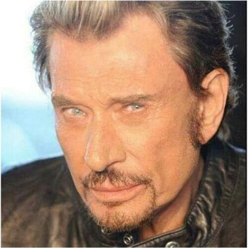Johnny Hallyday Printed Water-Soluble Canvas 11CT Cross Stitch Set Embroidery DMC Threads Painting Hobby Wholesale