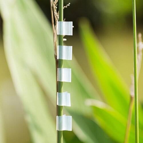 100PCS Plastic Plant Support Clips Grafting Clips for 2-5mm Round Tube Stake Garden Retaining Clip for Greenhouse Frame Pipe