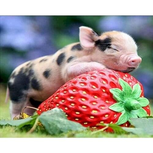 GATYZTORY Diamond Embroidery Strawberry Pig Full Square/Round Drill Diamond Painting Cross Stitch Animal Handicraft Home Decor