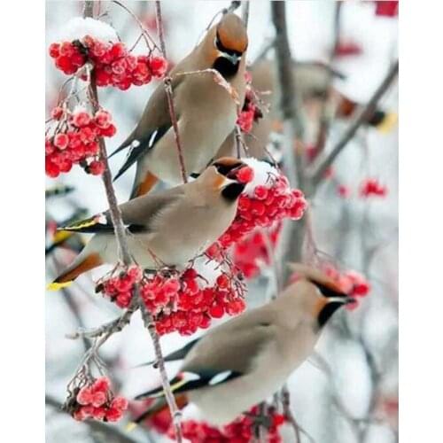 Embroidery patterns,diamond painting birds,crystal picture,diamond embroidery birds