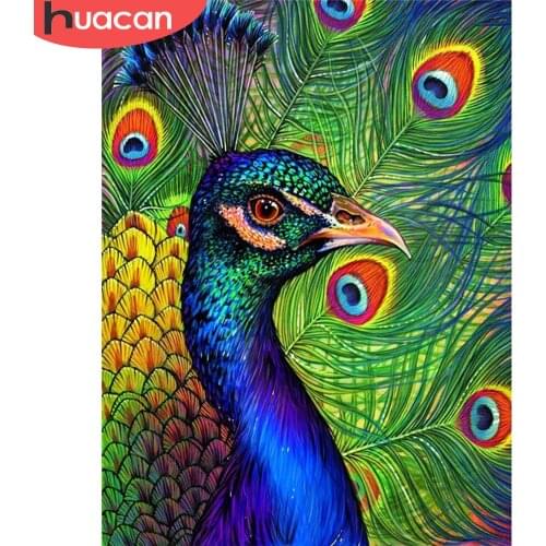 HUACAN Diamond Painting Full Square New Arrival Peacock Diamond Embroidery Animal Diamond Mosaic Picture Of Rhinestone Wall Art