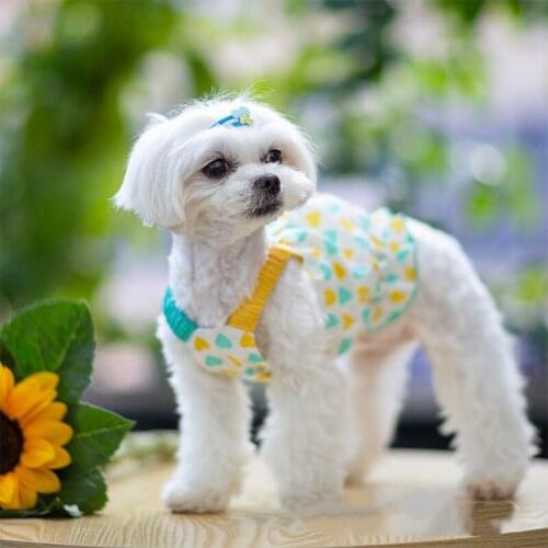 Summer Lovely Dog Skirt Vest Cat Puppy Clothing Chihuahua Corgi Yorkshire Pomeranian Bichon Maltese Poodle Schnauzer Dog Clothes