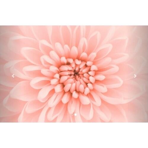 Custom papel DE parede floral and Peach by Wall Mural to the sitting room the bedroom TV Wall waterproof vinyl papel DE parede