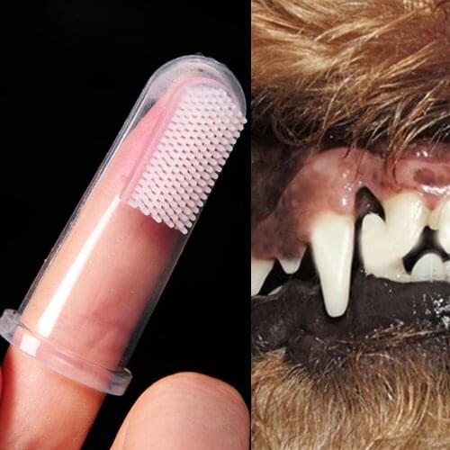2020 New Hot Selling Super Soft Pet Finger Toothbrush Teddy Dog Brush Bad Breath Tartar Teeth Tool Dog Cat Cleaning Supplies 129