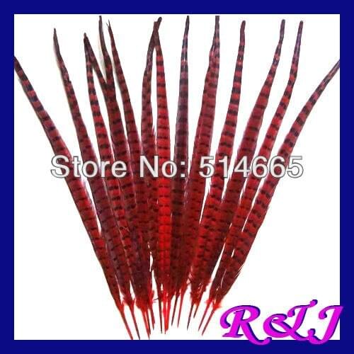 EMS Free Shipping 50pcs/lot ringneck pheasant Feather pheasant tail feather RED color 22-24 inches 55-60cm