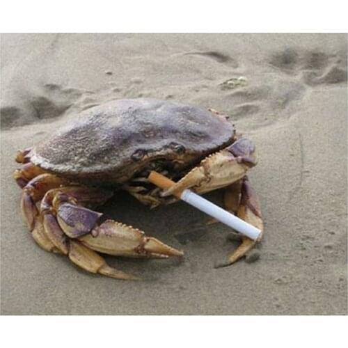 5D DIY Full Round/Square Diamond Painting Crab Smoking 3D Embroidery Cross Stitch Rhinestone Mosaic Home Decor Art Yy75