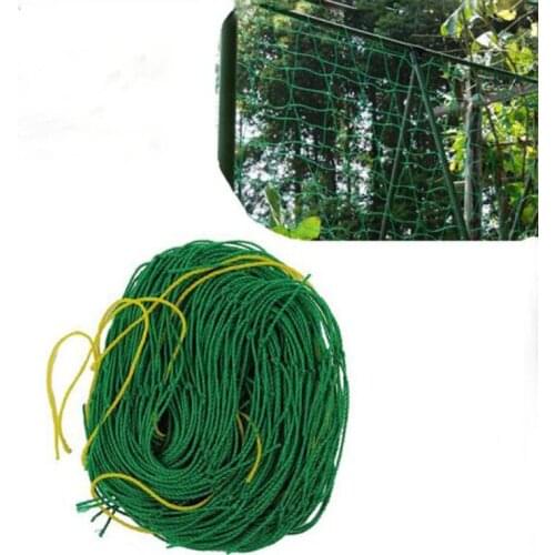 Fine Garden Green Nylon Vegetable Plant Trellis Netting Support Nets Bean Plant Climbing Grow Fence Anti-bird Net