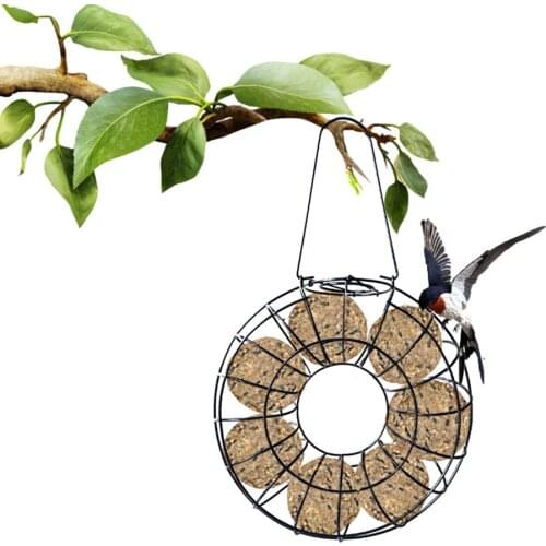 Newest Arrival Bird Hanging Feeder Fat Ball Wild Bird Seed Feeder Outdoor Feeding Station for Garden Backyard
