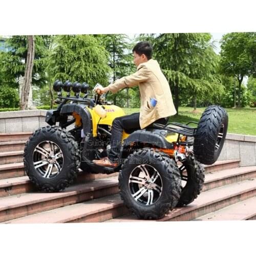 With Spare Tyre 250CC Gas bycicle ATV Racing Go Kart Car Beach Buggy Adult Moto Motorcycle gravel downhill quad bike fatbike
