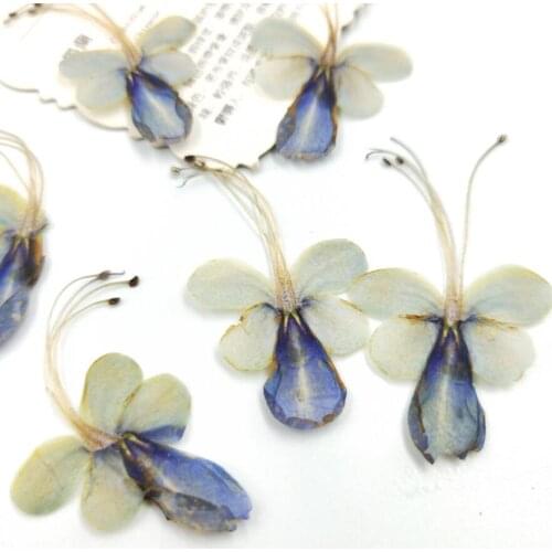 100pcs Pressed Dried Flower Butterfly Flower Filler For Epoxy Resin Jewelry Making Postcard Frame Phone Case Craft DIY