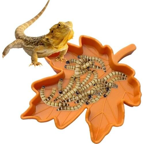 Reptiles Feeder Food Bowl Water Basin Leaf Shape Plastic Lizard Snake Tortoise Small Pets Supplies