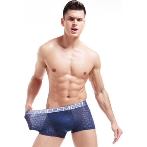 Sexy Mens Underwear Boxers Shorts Ice Silk Mesh Panties Mans Clothings Breathable Pouch Underpants Male Boxer Cueca Plus Size