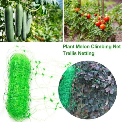 2X6M Gardening Trellis Netting For Plant Plants Growth Support Net Reusable Wall Fences Plant Climbing Trellis Net Dropshipping