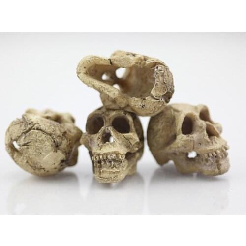 Aquarium Artifical Rhino Sheepshead Resin Skull Terrarium Decoration Fish Tank Simulation Statue Landscape Reptile Cave House