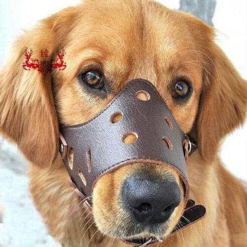 Ошейники, шлейки и поводки LHXMAS China At AliExpress