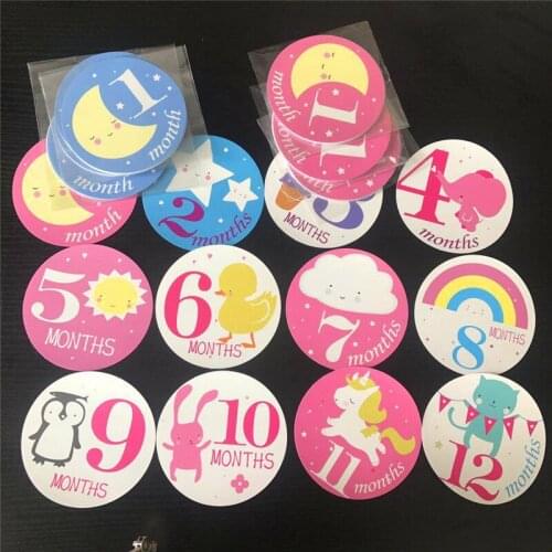 12Pcs/set Baby Month Sticker Studio Home Newborn Milestone Memories Monthly Souvenirs Photography Photo Props Commemorative Card