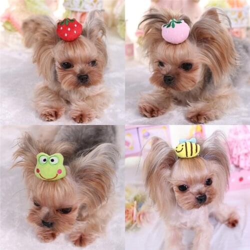 Dog Cat Cute Hairpin Pet Dog Accessories Supplies Hairpin Fashion Animal Strawberry Dog Hair Clip Headdress Pet Hair Decoration
