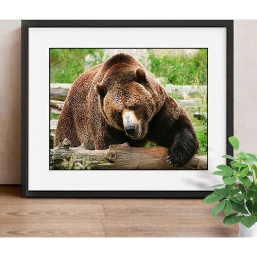 Diamond Painting Bear Diamond Embroidery Animal Rhinestones Diamond Mosaic Sets Rhinestones Patterns Home Decoration