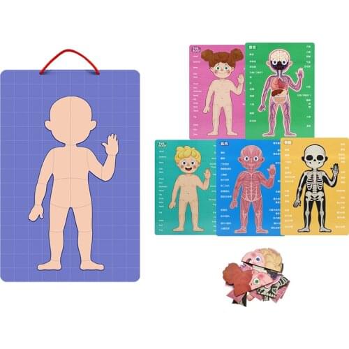 Wooden Human Body Puzzle for Kids and Toddlers, 89 Piece Boys Girls Anatomy Play Set, Skeleton Toy for Ages 3