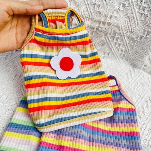 Small Puppy Dogs Rainbow Stripe Hoodie Vest Cute Wing Flower Decor Dog Sling Vest Pet Clothes Chihuahua Teddy Costumes Outfit