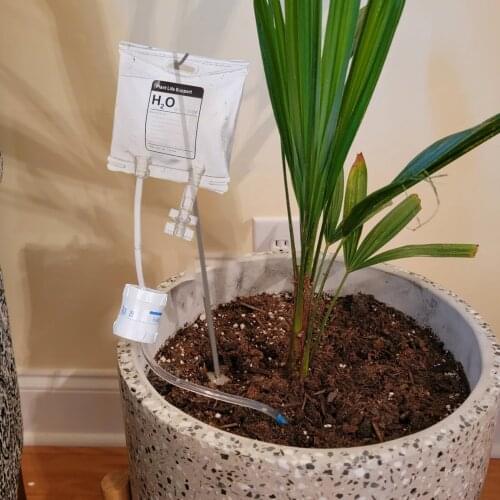 50ML Plant Life Support Drip Irrigation Home Plant Automatic Watering System Bottle Drip Irrigation Watering капельный полив