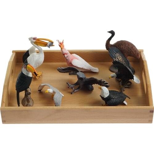 8pcs) Birds Models Set W/O Tray Montessori Materials for Language Area Early Educational Toys for Kids, Made of PVC