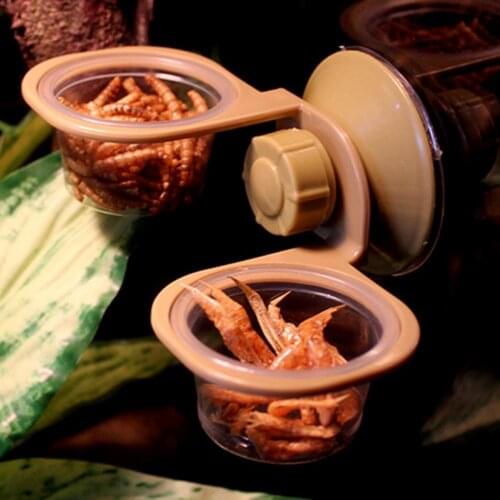 Crawler Pet Feeder Minimalistic Stable Ants Nest Snake Gecko Food Tortoise Hanging Water Basin for Spider Pets Supplies