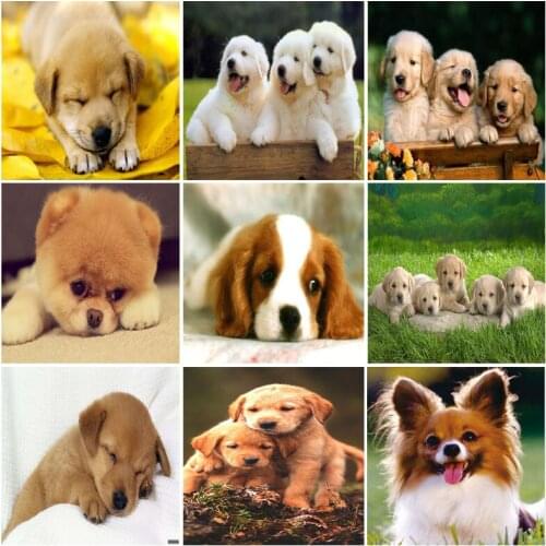 IHWA Dog Series 5D DIY Diamond Painting Full Square Round Diamond Embroidery Mosaic Home Decor Gift