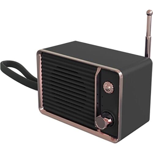 Lanyard Vintage Radio Speaker, 5.0 Bluetooth Portable Speaker,10-Hour Long Play, Wireless Camping Speaker for Home Office