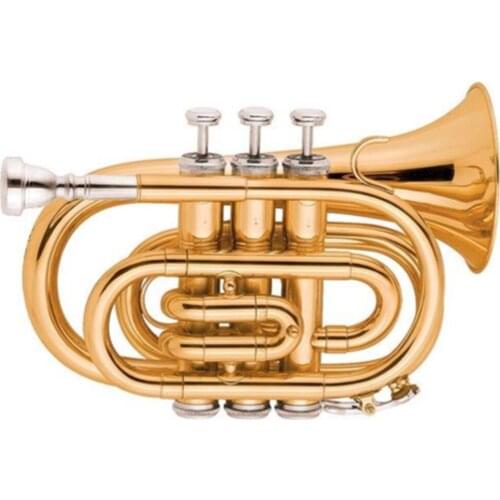 Gold lacquer Tone Bb Pocket Trumpet