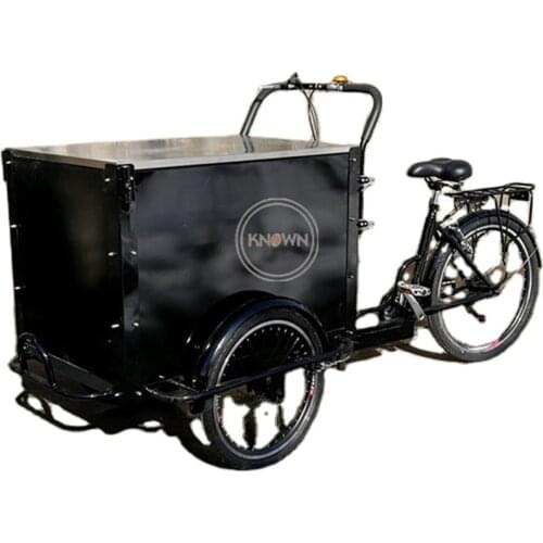 Dutch Popular Cargo Bike 3 Wheels Electric Tricycle with Wooden Stainless Steel Food Box Carriage