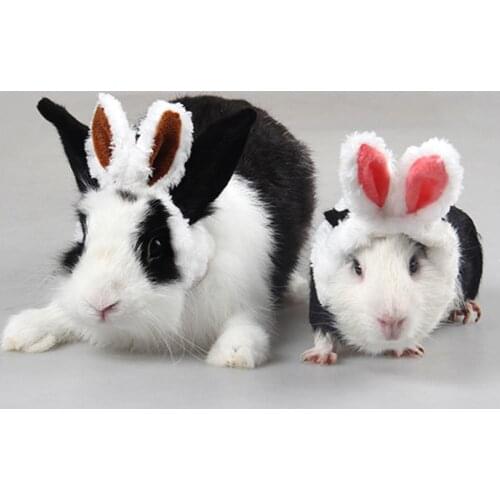 Small Pet Warm Head Cover Guinea Pig Kittens Warm Plush Hat Adjustable Headband with Cute Rabbit Ears