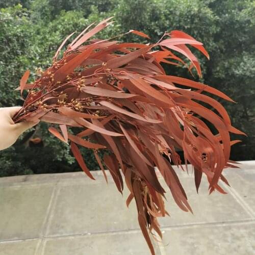 80g/30-40cm,Natural Preserved Eucalyptus Leaves Bouquet,Eternal Display Arrange Flowers for Wedding Home Decoration Accessories
