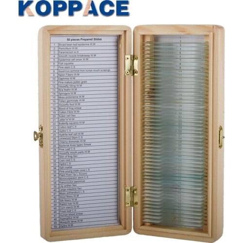 KOPPACE 50 Slices Of Biological Tissue Slides Wooden Case Packing For Basic Biological Science Education Microscope Biological