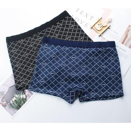 Ice Silk Underwear Men Boxer Shorts Boxer Brand Mens Panties Boxpanties Men Underpants Man Cotton Sexy for Male Cotton Boxers