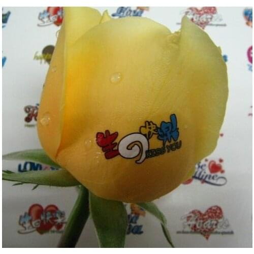 10 pieces/lot) A4 size clear/transparent color laser thin and flexible detachable film paper water transfer