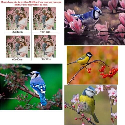 5D Diy Diamond Painting Animal Sakura Red Fruit Square Diamond Round Diamond Full Diamond Cross Stitc Mosaic Home Decora