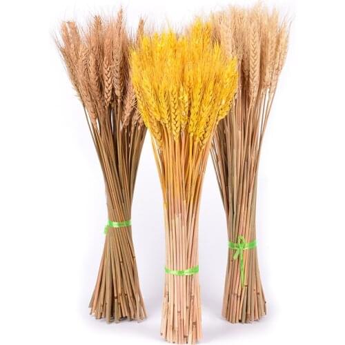 100pcs Decorative Dried Wheat Artificial Flower Grain Bouquet of Dried Wheat Decor Natural Plant Wedding Decoration Photography