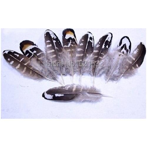 100Pcs/Lot 4-8cm Natural White&Yellow REEVES VENERY PHEASANT SMALL WINGS,Craft Striped Feathers
