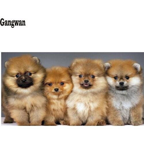 Full circular drill 5D DIY Diamond Painting square puplies pomeranian Diamond Embroidery cute pets Cross Stitch Home Decoration