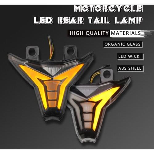 Motorcycle LED Tail Light for KAWASAKI Z1000 Z 1000 ZX-10R ZX 10R ZX-6R Ninja 400 250 Rear Brake Turn Signals Lights