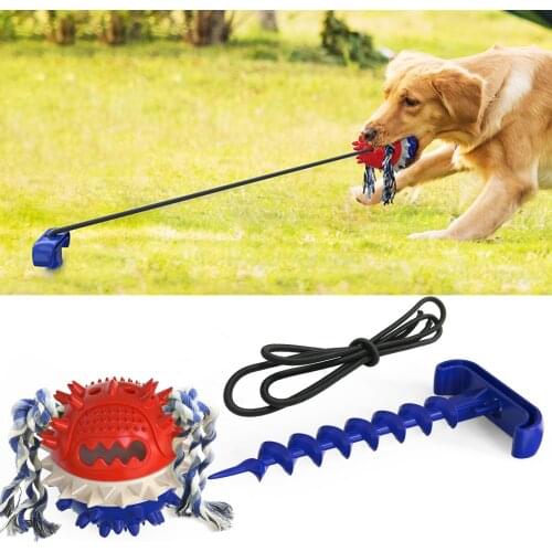 Dog Toys Outdoor Interactive Ball Toy Rally Training Elastic Ball Toys for Dog Molar Ball Toothbrush Toys
